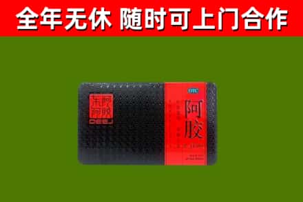 湛河区回收阿胶